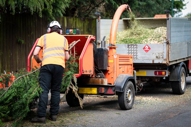 Best Storm Damage Tree Cleanup  in Madisonville, KY