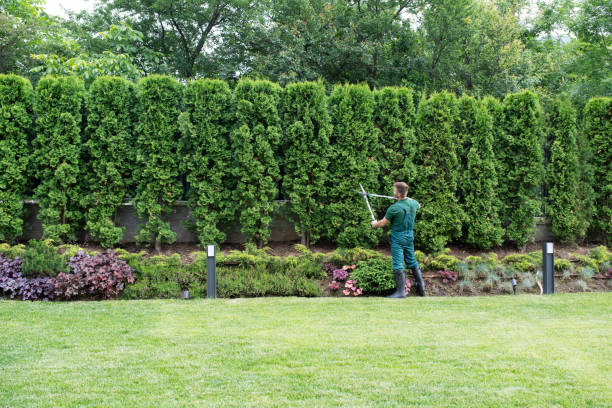Best Lawn Mowing  in Madisonville, KY