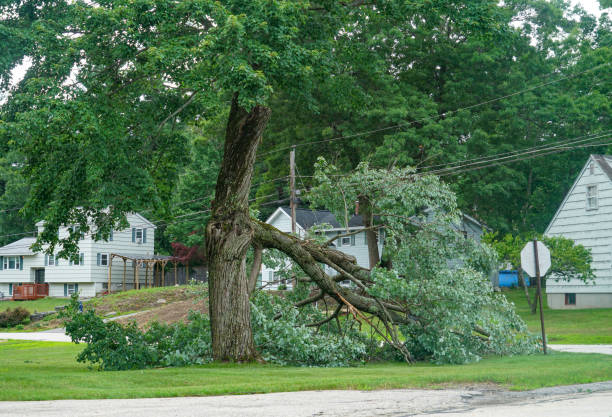 Best Seasonal Cleanup (Spring/Fall)  in Madisonville, KY
